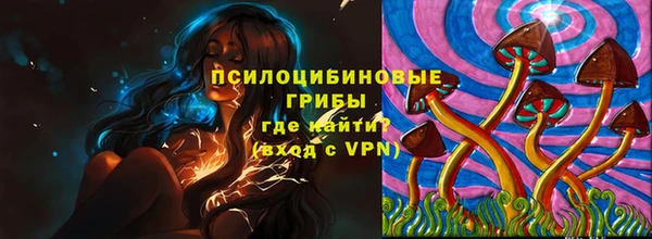 дмт Алзамай