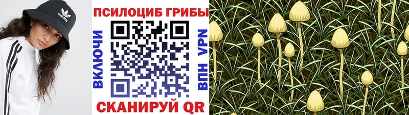 Псилоцибиновые грибы GOLDEN TEACHER  kraken как зайти  Анжеро-Судженск 